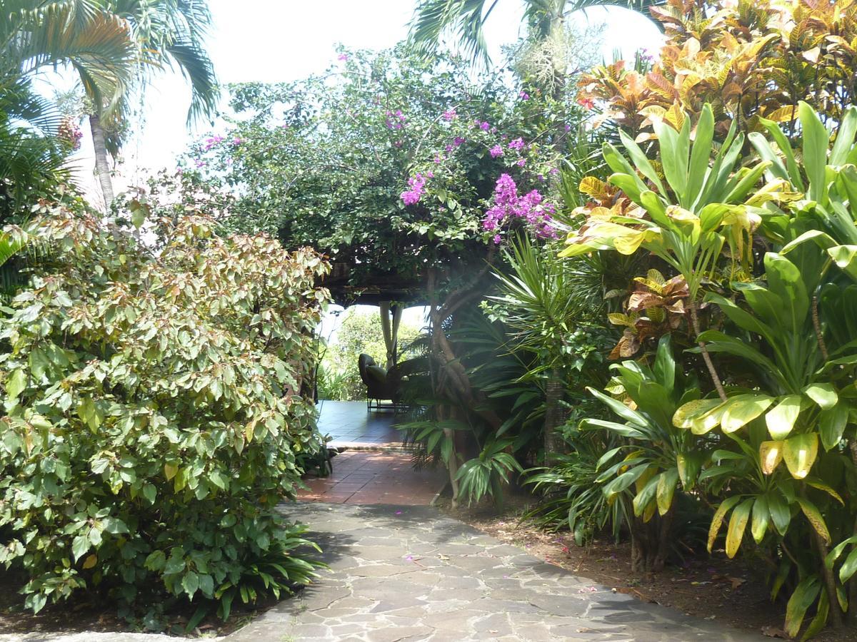 Chambre d'hotes Villa Rayon Vert Deshaies Exterior foto